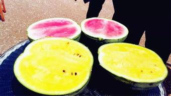 吃瓜爆料图片高清壁纸,揭秘吃瓜爆料瞬间，视觉冲击下的真相呈现